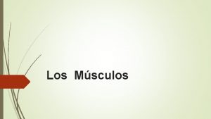 Los Msculos Repaso tejidos musculares 1 Recuerdas los
