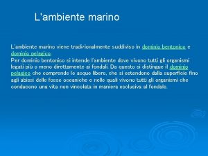 Lambiente marino viene tradizionalmente suddiviso in dominio bentonico