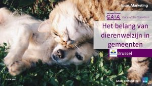 Het belang van dierenwelzijn in gemeenten Brussel 2018