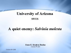 University of Arizona SWES A quiet enemy Salvinia