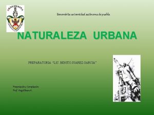 Benemrita universidad autnoma de puebla NATURALEZA URBANA PREPARATORIA