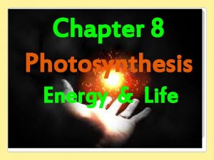 Chapter 8 Photosynthesis Energy Life Photosynthesis VideosReal Player20