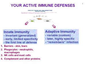 YOUR ACTIVE IMMUNE DEFENSES Innate Immunity invariant generalized