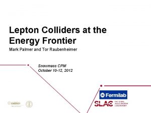 Lepton Colliders at the Energy Frontier Mark Palmer