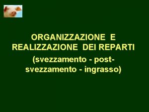 ORGANIZZAZIONE E REALIZZAZIONE DEI REPARTI svezzamento postsvezzamento ingrasso