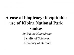 A case of biopiracy inequitable use of Kibira