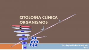 CITOLOGIA CLNICA ORGANISMOS Vera Regina Medeiros Andrade 2015