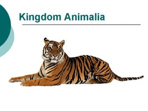 Kingdom Animalia Characteristics Multicellular Eukaryotic with no cell