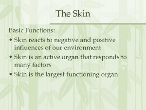 The Skin Basic Functions Skin reacts to negative