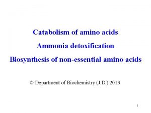 Catabolism of amino acids Ammonia detoxification Biosynthesis of