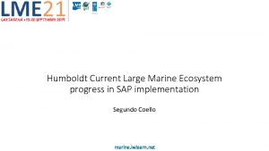 Humboldt Current Large Marine Ecosystem progress in SAP