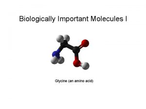 Biologically Important Molecules I Glycine an amino acid