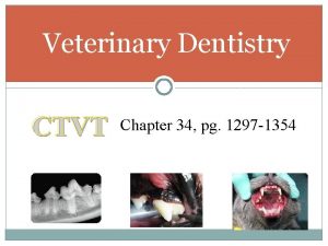 Veterinary Dentistry CTVT Chapter 34 pg 1297 1354