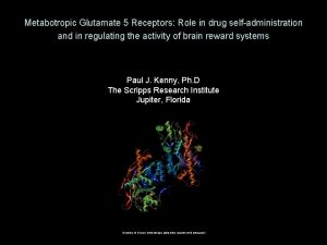 Metabotropic Glutamate 5 Receptors Role in drug selfadministration