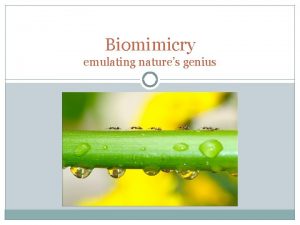 Biomimicry emulating natures genius Biomimicry Social Reference Theory