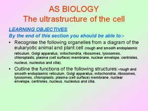 AS BIOLOGY The ultrastructure of the cell LEARNING