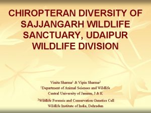 CHIROPTERAN DIVERSITY OF SAJJANGARH WILDLIFE SANCTUARY UDAIPUR WILDLIFE