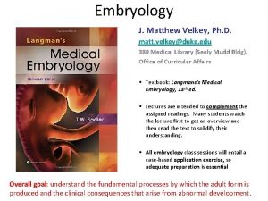 Embryology J Matthew Velkey Ph D matt velkeyduke