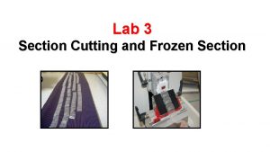 Lab 3 Section Cutting and Frozen Section Objectives