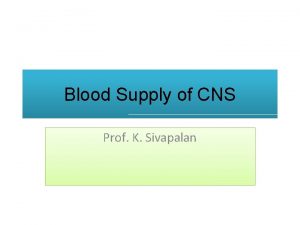 Blood Supply of CNS Prof K Sivapalan Inflow