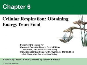 Chapter 6 Cellular Respiration Obtaining Energy from Food