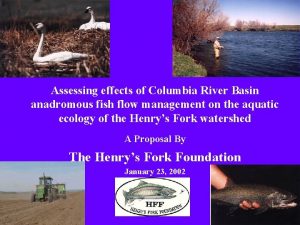 Assessing effects of Columbia River Basin anadromous fish