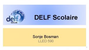 DELF Scolaire Sonje Bosman LLED 590 1 PLAN