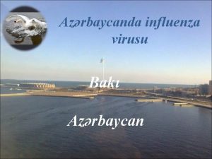 Azrbaycanda influenza virusu Bak Azrbaycan Salyan rayonundak qu