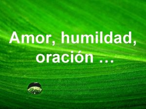 Amor humildad oracin Pensamientos del Santo Hermano Miguel