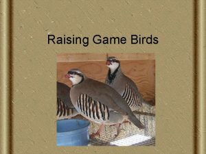 Raising Game Birds Next Generation ScienceCommon Core Standards