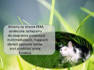 Witamy na stronie FKM serdecznie zachcamy do obejrzenia