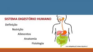 SISTEMA DIGESTRIO HUMANO Definio Nutrio Alimentos Anatomia Fisiologia