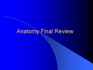 Anatomy Final Review Overview of Anatomy and Physiology