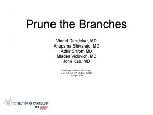 Prune the Branches Vineet Dandekar MD Anupama Shivaraju