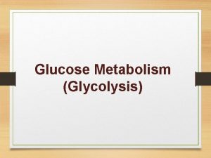 Glucose Metabolism Glycolysis Objectives By the end of