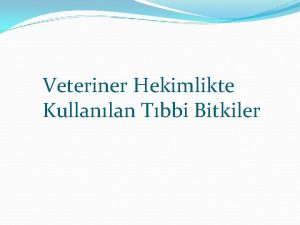 Veteriner Hekimlikte Kullanlan Tbbi Bitkiler Gzelavratotu Atropa belladona