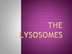 INTRODUCTION Lysosomes Greek words lysis meaning to separate