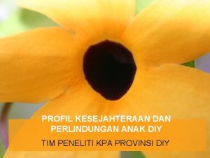 PROFIL KESEJAHTERAAN DAN PERLINDUNGAN ANAK DIY TIM PENELITI