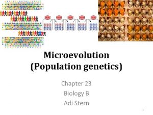 Microevolution Population genetics Chapter 23 Biology B Adi