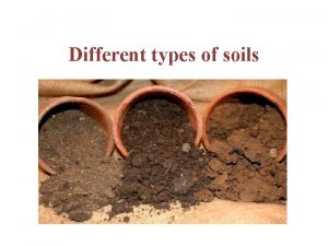 Different types of soils SUBMERSED SOILS ORGANIC SOILS