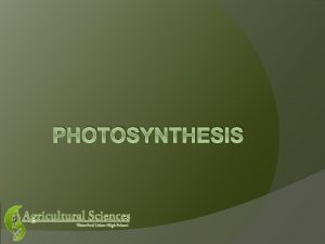PHOTOSYNTHESIS Photosynthesis in a nutshell The energy originally