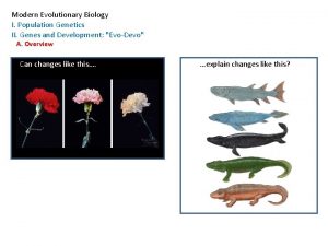 Modern Evolutionary Biology I Population Genetics II Genes