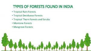 TYPES OF FORESTS FOUND IN INDIA Tropical Rain