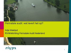 Perinatale audit wat levert het op Adja Waelput