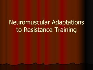 Neuromuscular Adaptations to Resistance Training Terminology l Muscular