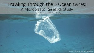 Trawling Through the 5 Ocean Gyres A Microplastic