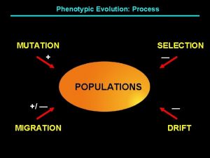 Phenotypic Evolution Process MUTATION SELECTION POPULATIONS MIGRATION DRIFT