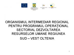 ORGANISMUL INTERMEDIAR REGIONAL PENTRU PROGRAMUL OPERAIONAL SECTORIAL DEZVOLTAREA
