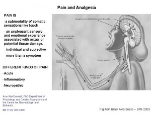 Pain and Analgesia PAIN IS a submodality of