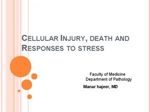 CELLULAR INJURY DEATH AND RESPONSES TO STRESS Faculty